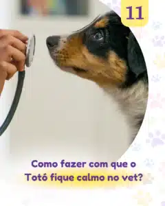 oi